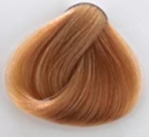 رنگ مو پیکارو بدون امونیاک سری طبیعی Natural حجم 120 میلی لیتر